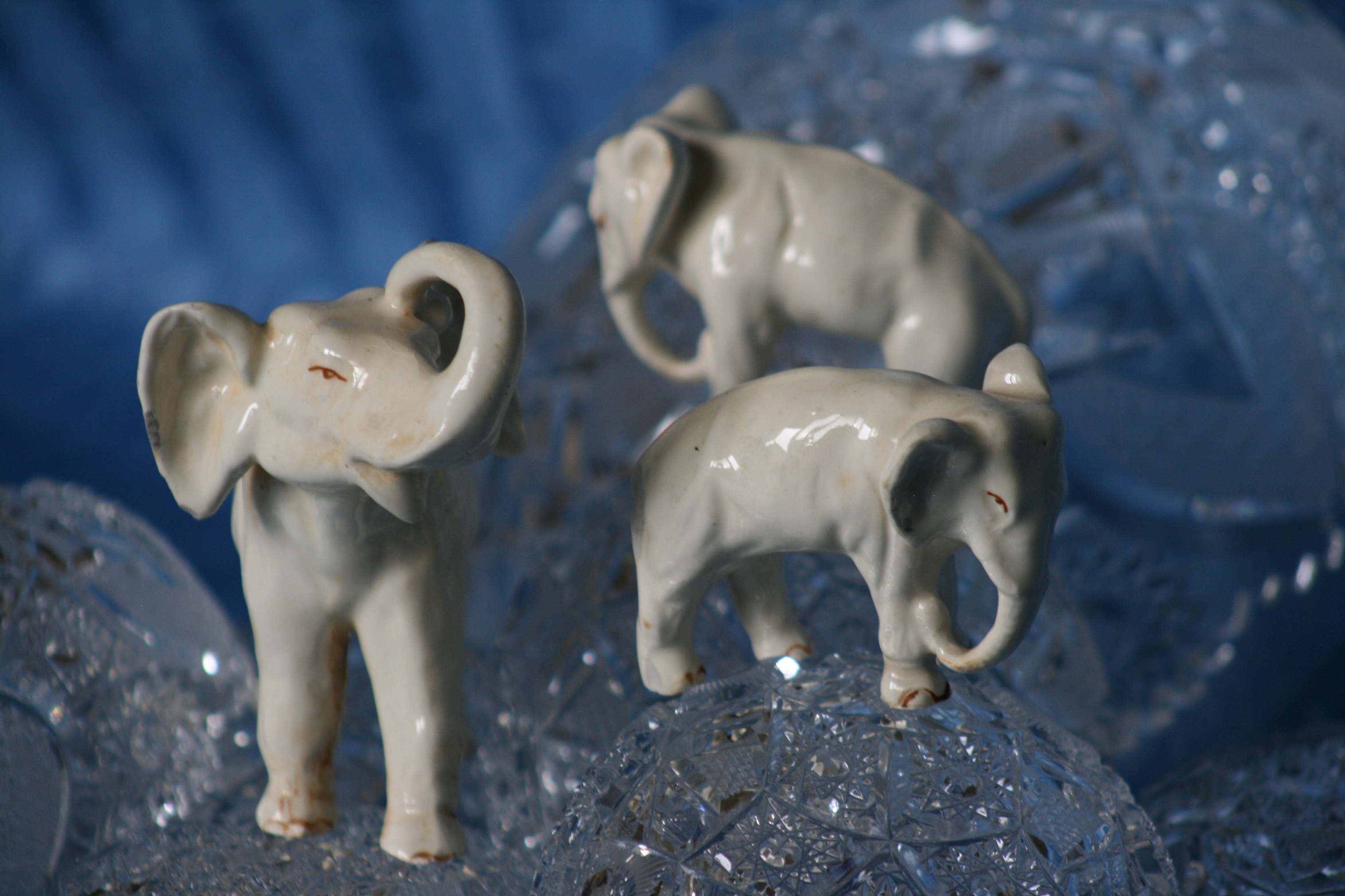 (image for) Winter Elephants
